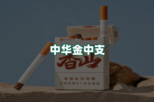 中华金中支